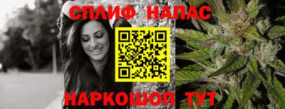 крисы Ирбит